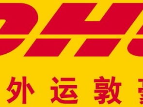 北城區DHL國際物流服務 海淘物流與聯系方式全攻略